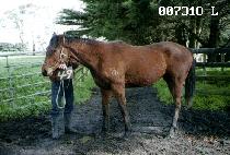 �ƶ��� (ARANDU) ����