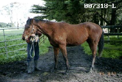 �ƶ��� ����