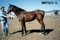 ����̺� (BIG WAVE) ����