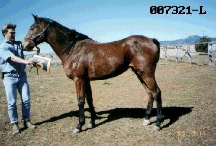 ����̺� ����