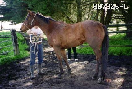 ī���� ����