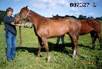 �պ� (BOOM BOOM) ����