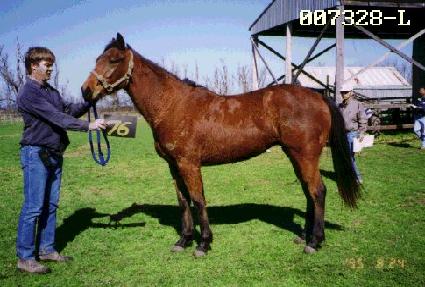 �ƴ� ����