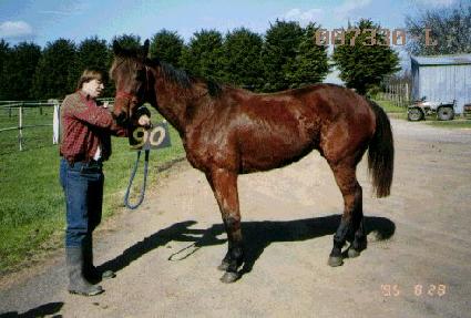 ���Ǳ� ����