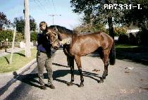 ����Ư�� (HYESEONG TEUKGEUP) ����