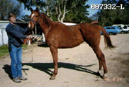 �ٵ�� ����