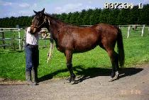 ���� (DOYAK) ����