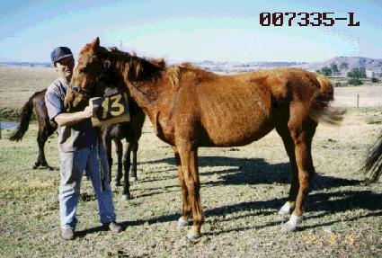 ���� ����