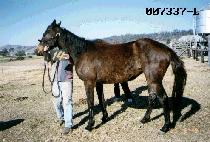 ���� (NAMSAN) ����