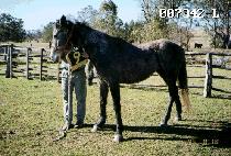 ���� (EUNPA) ����