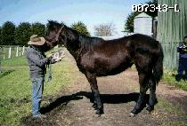 �뿵�� (DAEYEONGWOON) ����