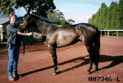 ������ ����