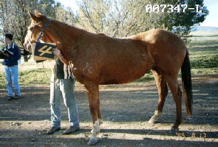 ���� ����