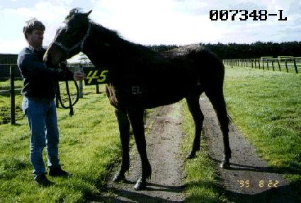 ��ȭ��� ����