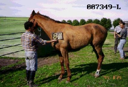 ûõ���� ����