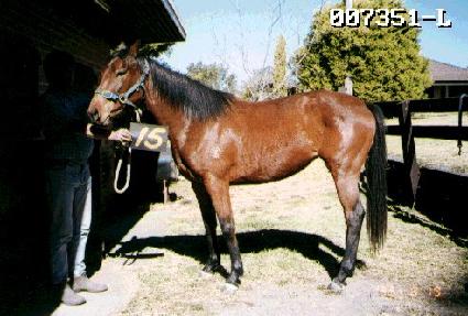 źź�� ����