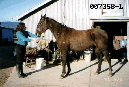 ��� ����