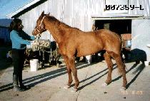 ���Ի� (TOHAMSAN) ����