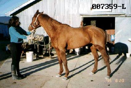 ���Ի� ����