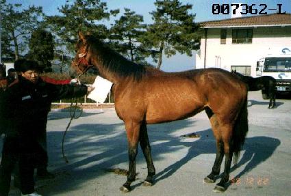 ��õȲ�� ����