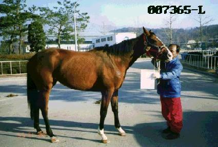 ��õ���� ����