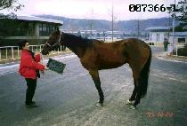 ���� (BOSS) ����