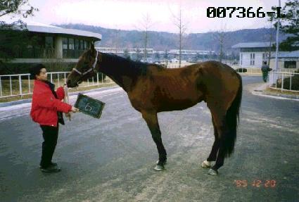 ���� ����