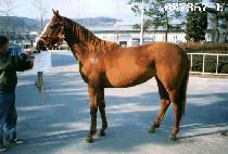 õȲ�� (CHEONHWANGBONG) ����