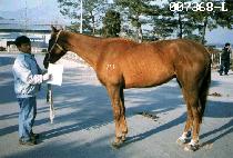 ���� (SEOPO) ����