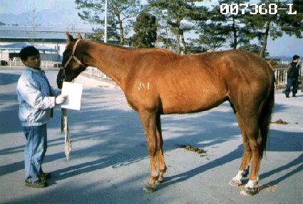 ���� ����