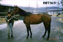 ����� (DAEMYEONGSEONG) ����