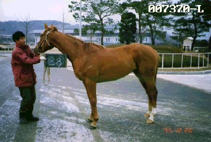 ��õ ����