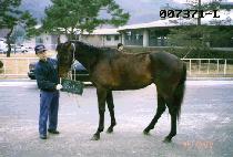 �ű�� (SINGIROK) ����