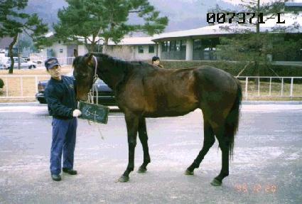 �ű�� ����