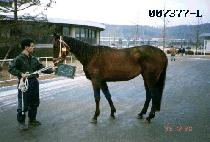 ��ϴ� (BAEKROKDAM) ����