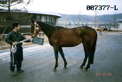 ��ϴ� ����