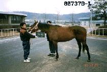 Ȧ�Ż� (HOLMAESAN) ����