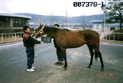 Ȧ�Ż� ����