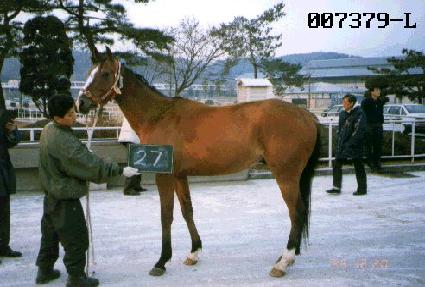 ����� ����