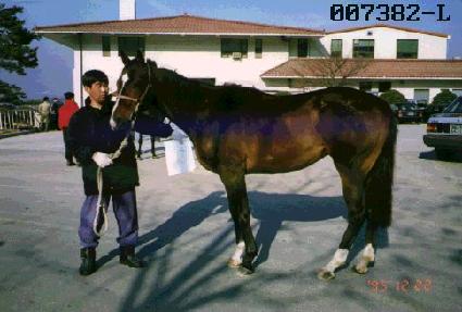 õ�� ����