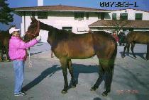 ����ǰ (JOONILPOOM) ����