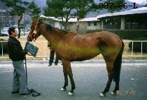 �ο� (BUYEONG) ����