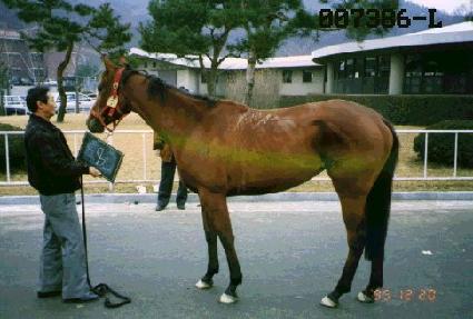 �ο� ����