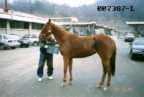 ����Ʈ�׺�Ʈ (LIGHTENING BOLT) ����