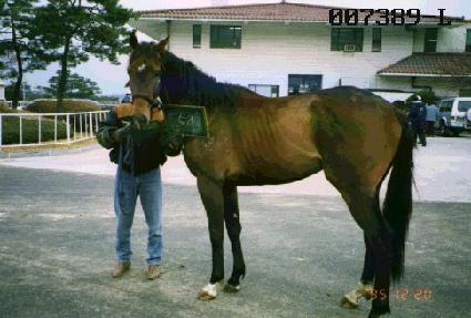 ���� ����