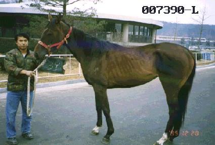 ���� ����