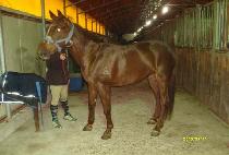 ��Ʈ��� (JET GIRYU) ����