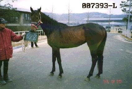 �ϴ� ����