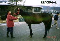 ��� (DAEGONG) ����