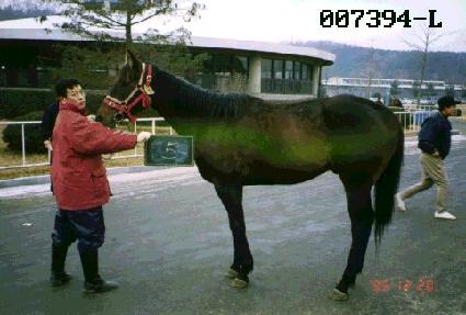 ��� ����